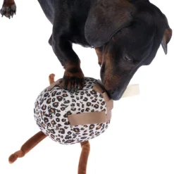 zooplus Basics snackbold med leopardmønster