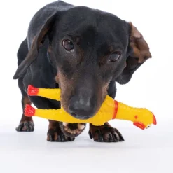 zooplus Basics Squeaky Chicken med pibende lyd