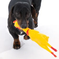 zooplus Basics Squeaky Chicken med pibende lyd