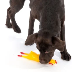 zooplus Basics Squeaky Chicken med pibende lyd