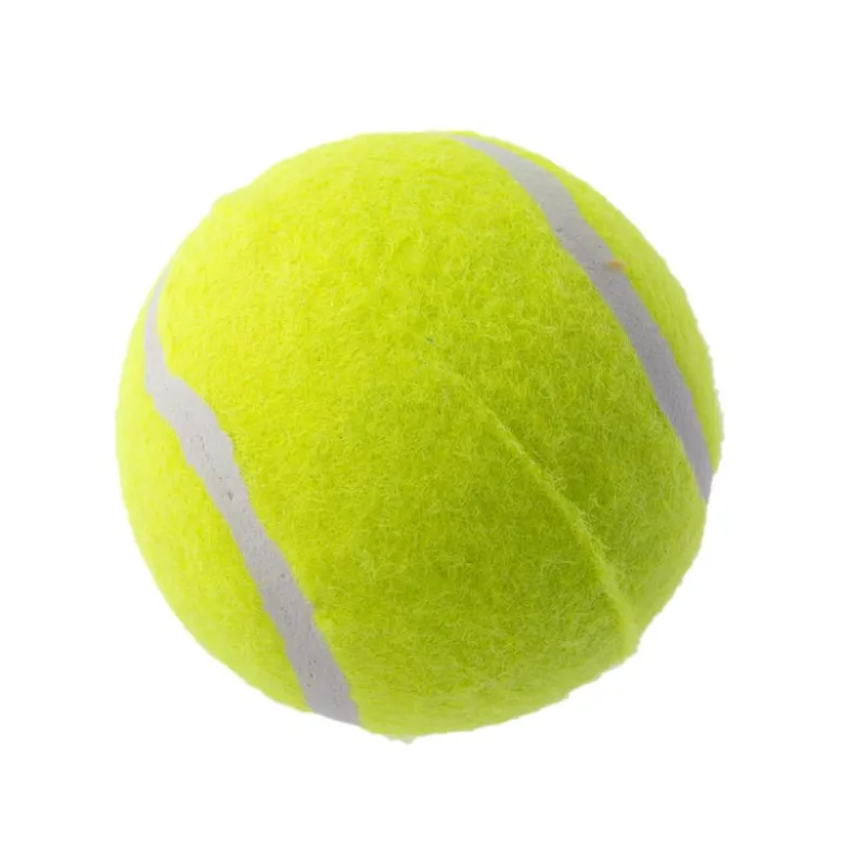 zooplus Basics tennisbolde-sæt