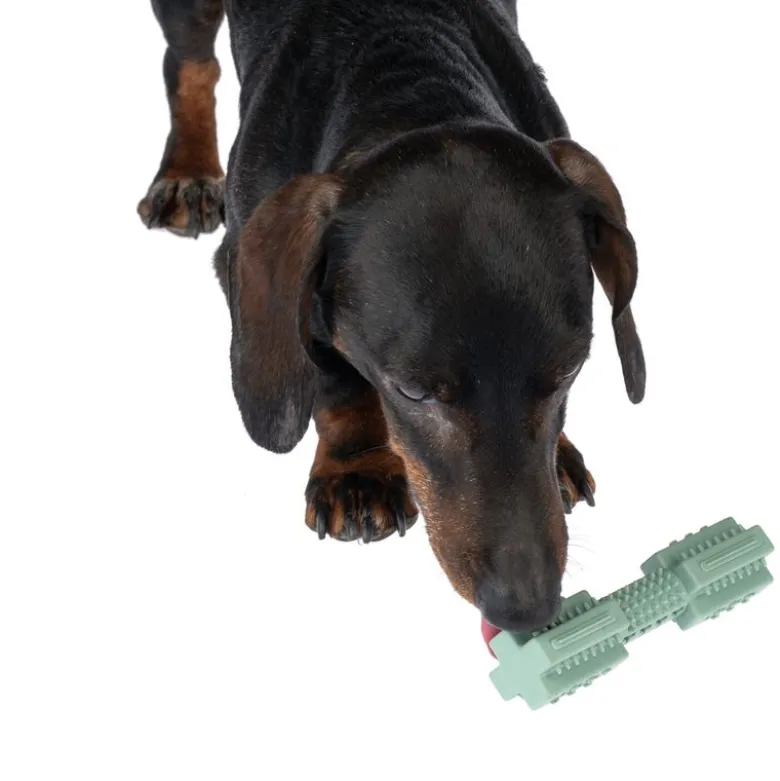 zooplus Basics TPR-stick til hunde