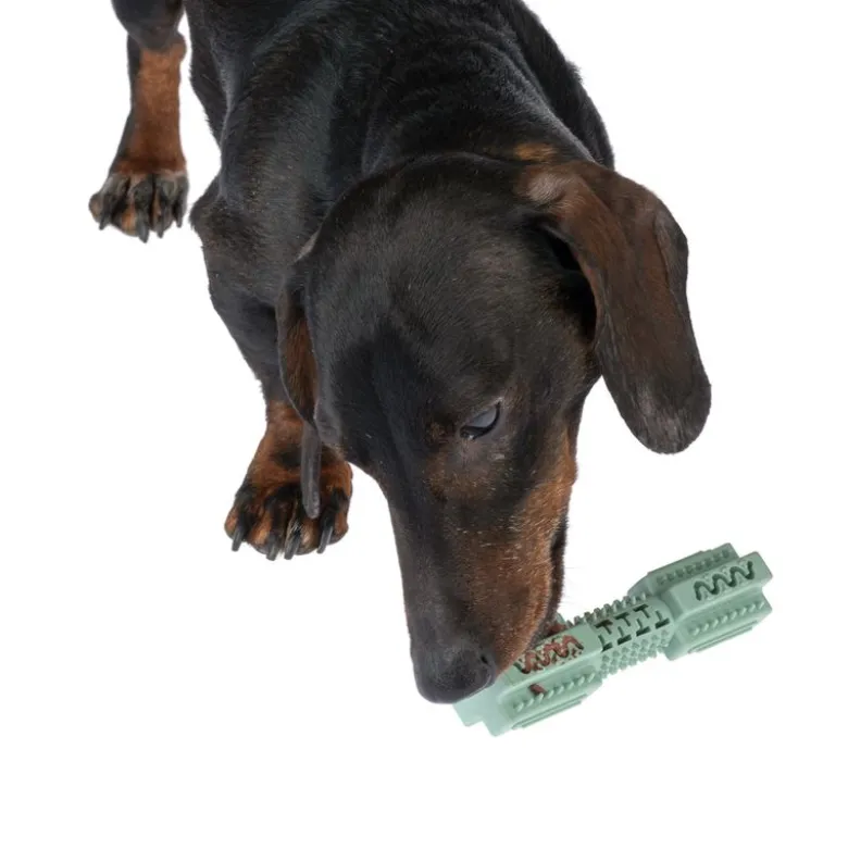 zooplus Basics TPR-stick til hunde